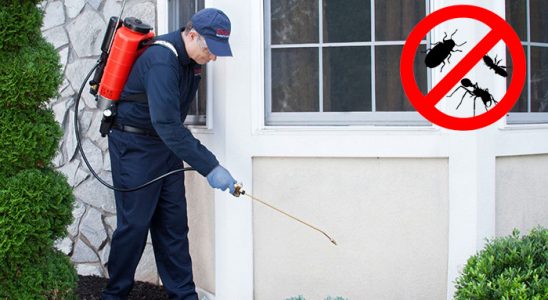 Sürmene Hamam Böceği İlaçlama böcek ilaçlama ve haşere kontrolü — ilaclama-tr.com
